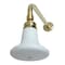 Kingston Brass Shower Head, Polished Brass, Wall Mount P50PBCK - alternate 1
